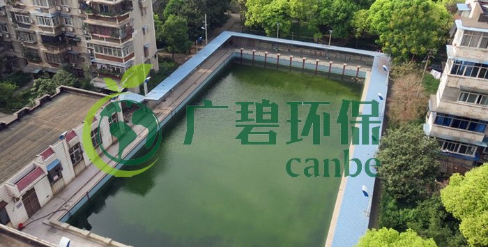 游泳池水變綠是什么原因？游泳池水處理方法(圖1)