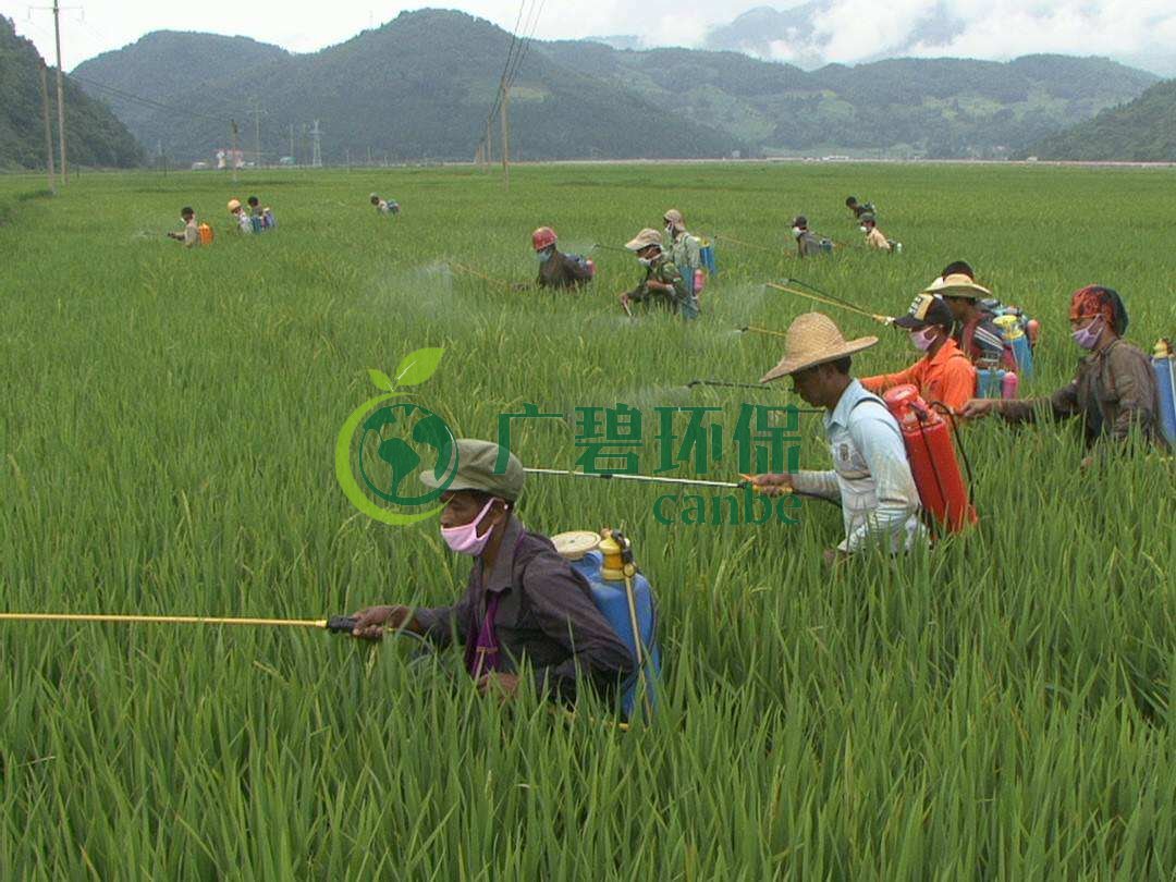 農藥廢水是什么？農藥廢水特點與處理工藝(圖1)