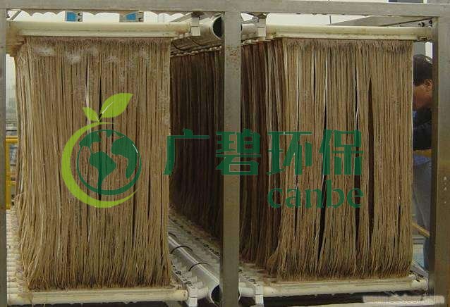 MBR污泥膨脹怎么處理？污泥膨脹的處理方法(圖1)
