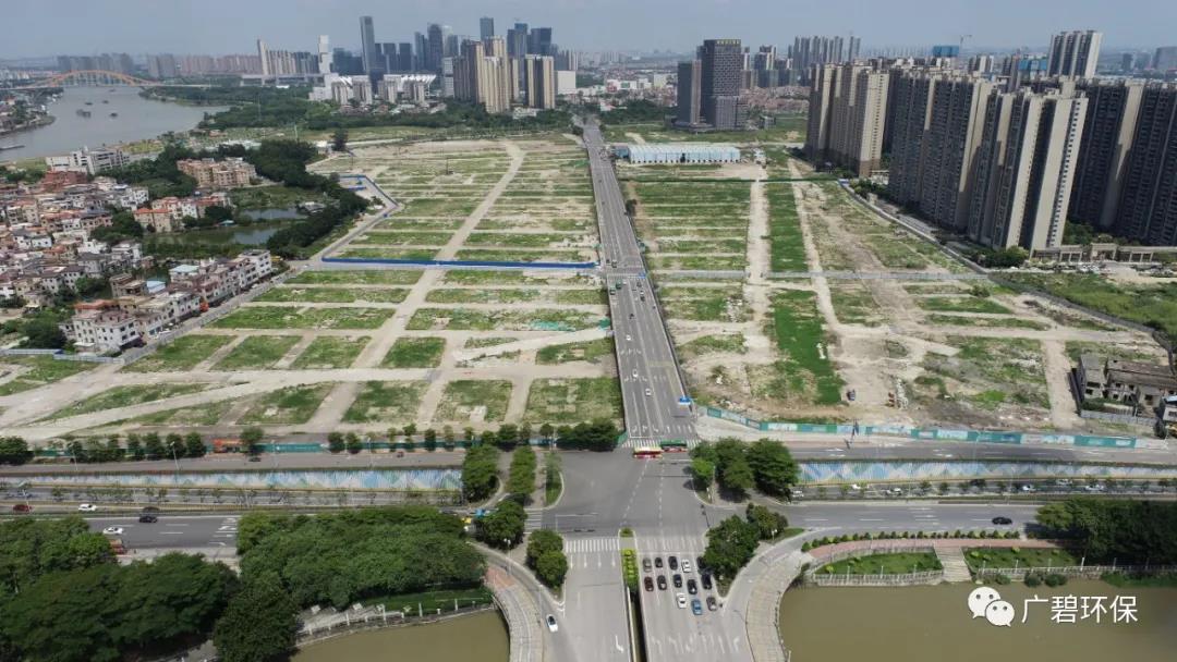 廣碧環(huán)保于樂從小布村兩個地塊土壤調查項目順利通過專家評審會(圖6)